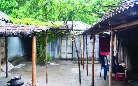 Image of  মো: সাব্বির হাসান